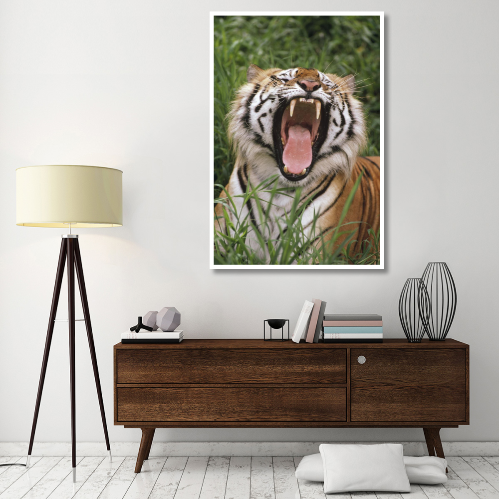 Bengal Tiger yawning, Hilo Zoo, Hawaii-Paper Art-42&quotx62"