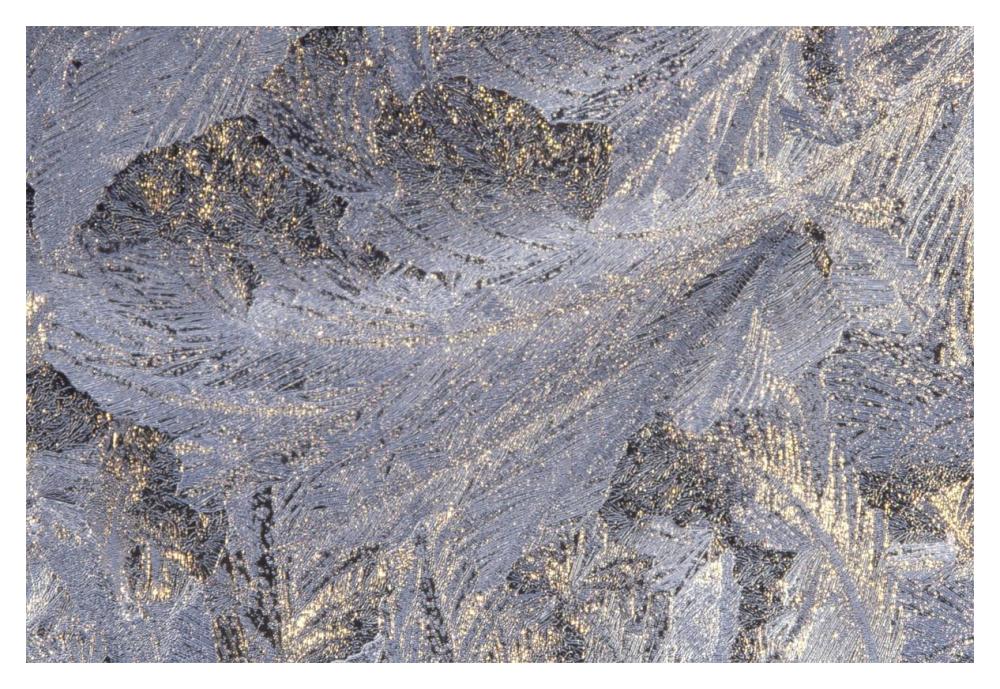 Frost crystal formation on window, North America-Paper Art-20"x14"