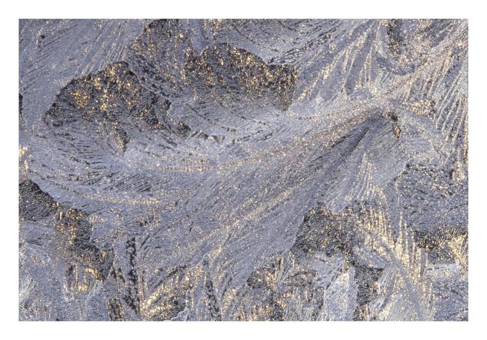 Frost crystal formation on window, North America-Paper Art-26"x18"