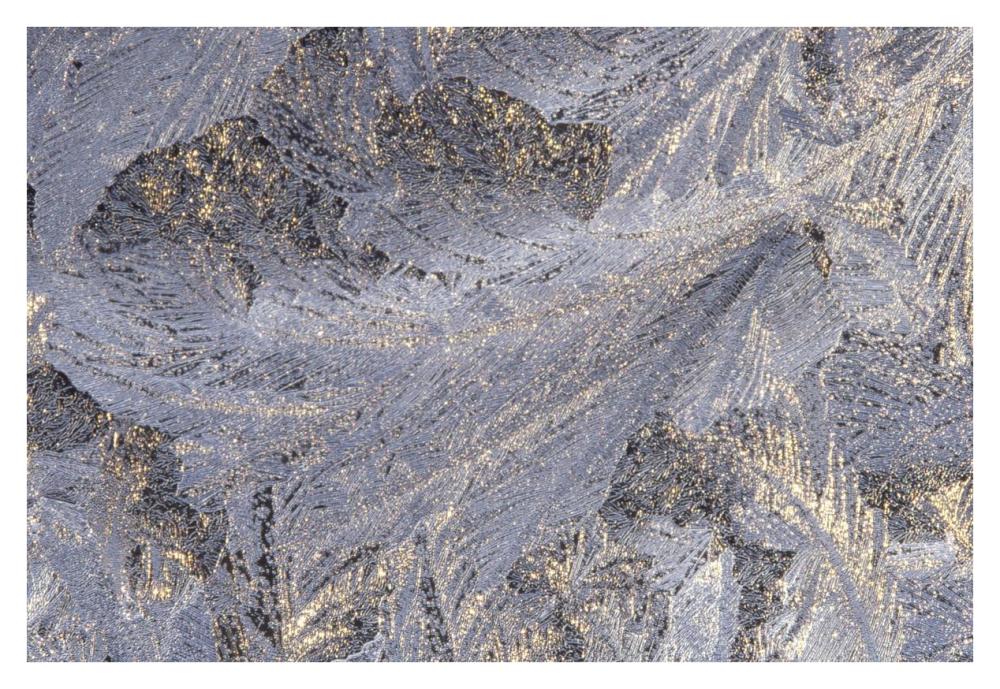 Frost crystal formation on window, North America-Paper Art-38"x26"