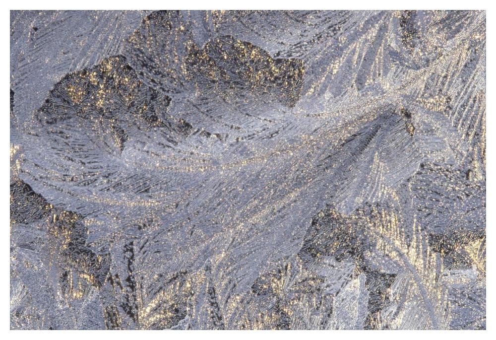 Frost crystal formation on window, North America-Paper Art-50"x34"