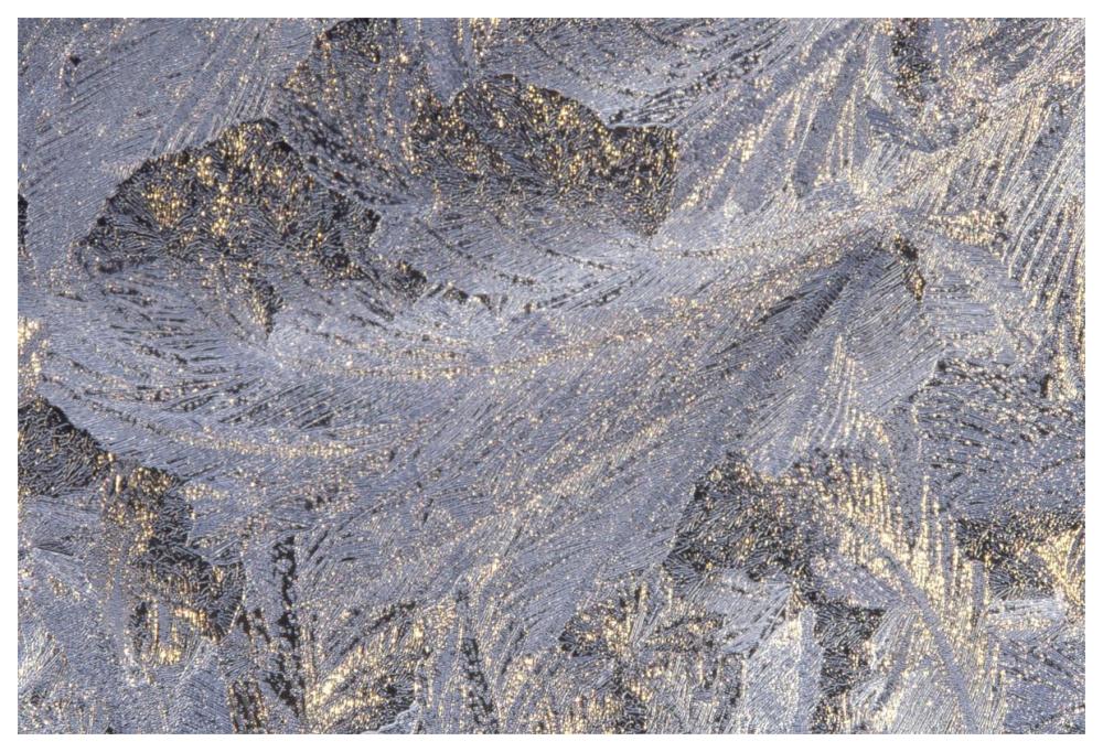 Frost crystal formation on window, North America-Paper Art-62"x42"