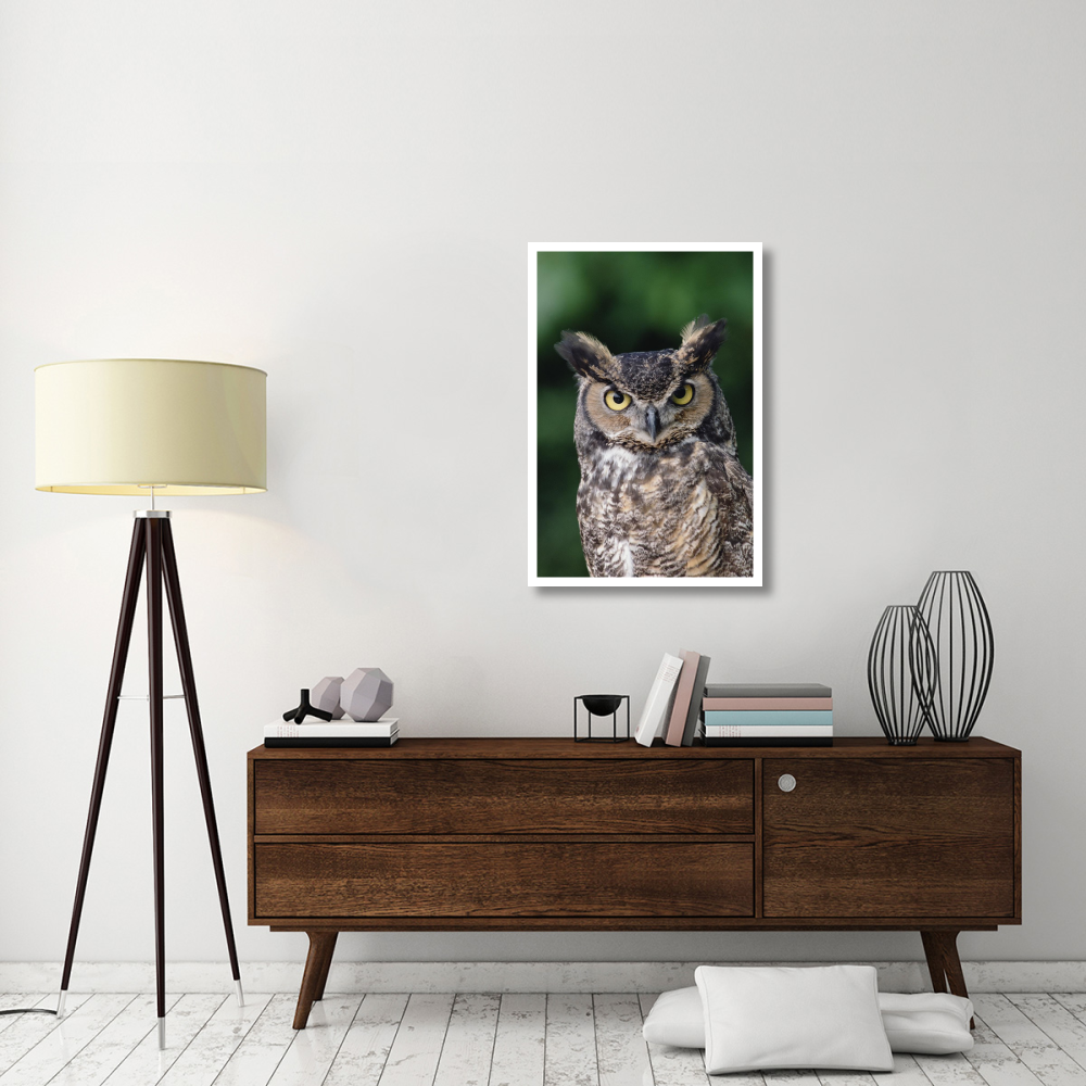 Great Horned Owl close-up portrait, North America-Paper Art-26&quotx38"