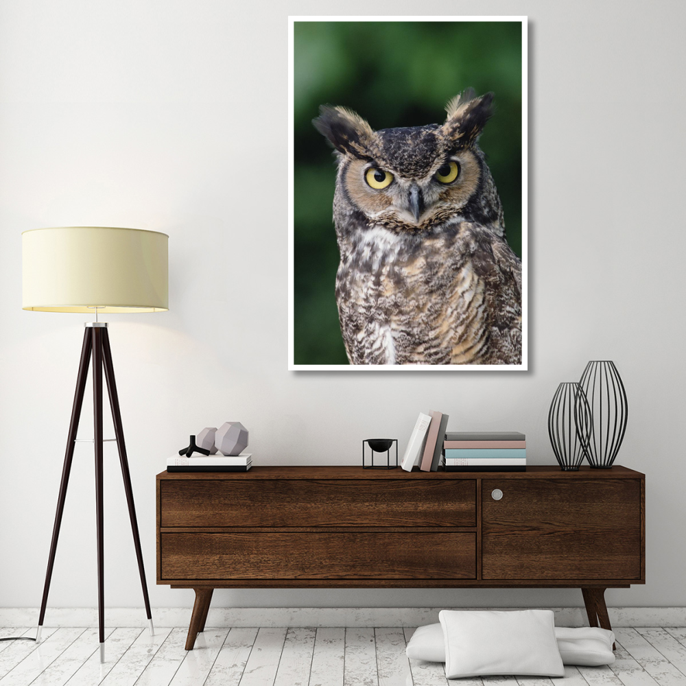 Great Horned Owl close-up portrait, North America-Paper Art-42&quotx62"