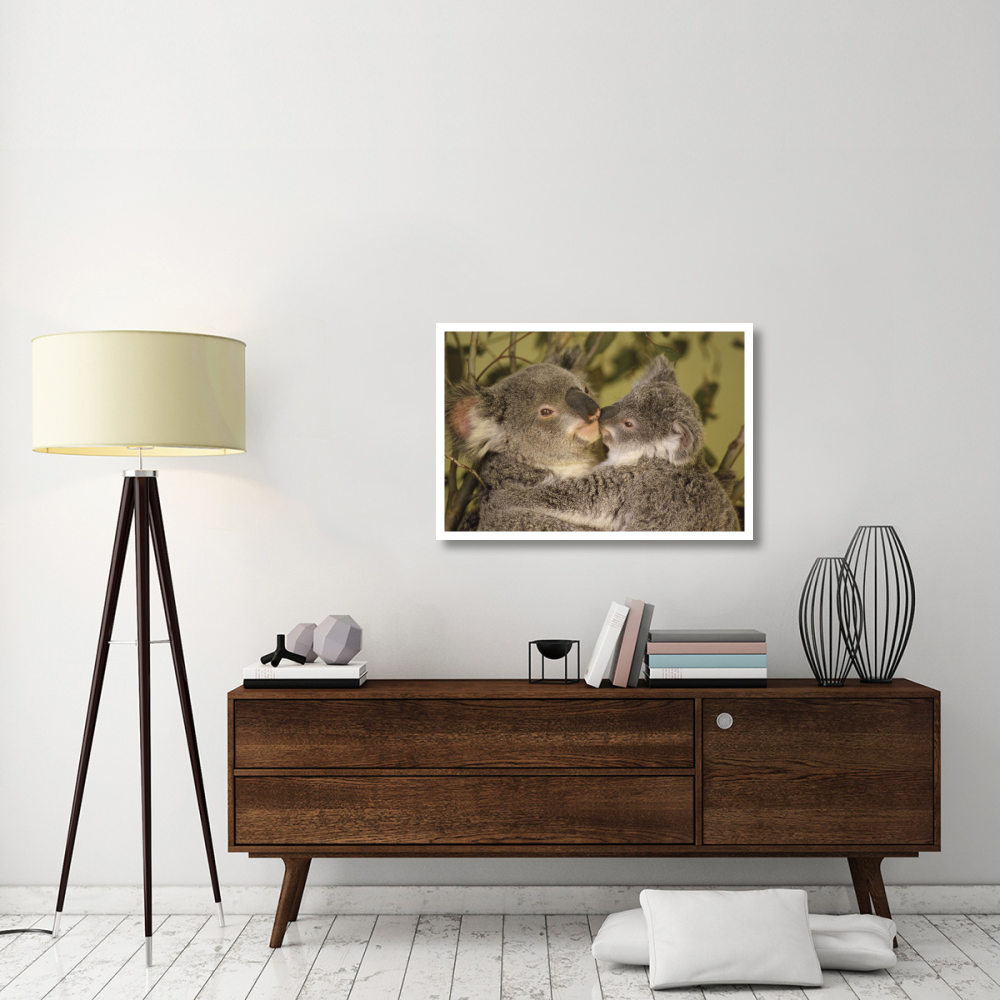 Koala mother with joey, eastern temperate Australia-Paper Art-38&quotx26"