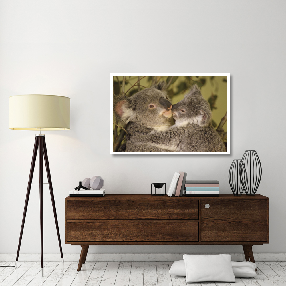 Koala mother with joey, eastern temperate Australia-Paper Art-50&quotx34"