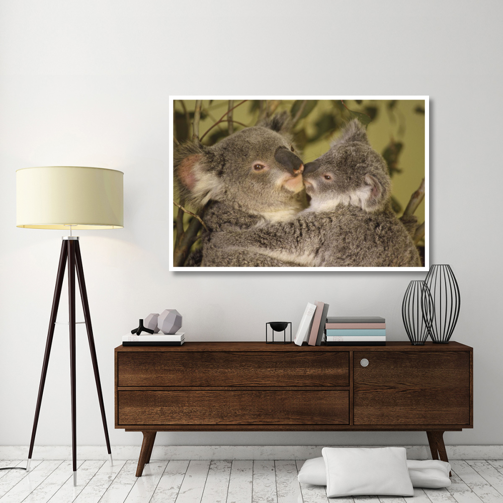 Koala mother with joey, eastern temperate Australia-Paper Art-62&quotx42"