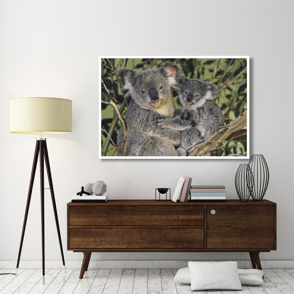Koala mother with joey, eastern temperate Australia-Paper Art-62&quotx42"