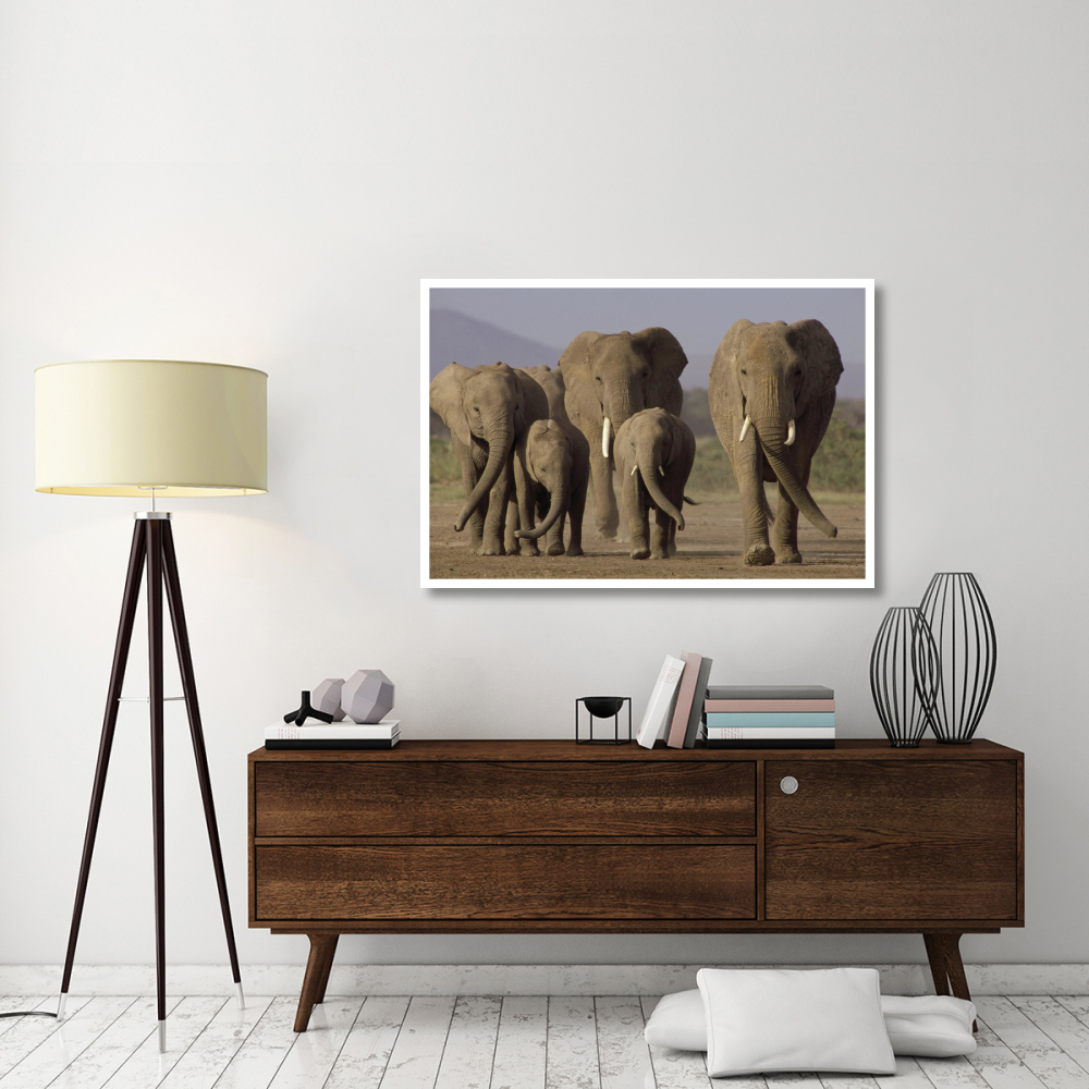 African Elephant herd with calves, Amboseli National Park, Kenya-Paper Art-50&quotx34"