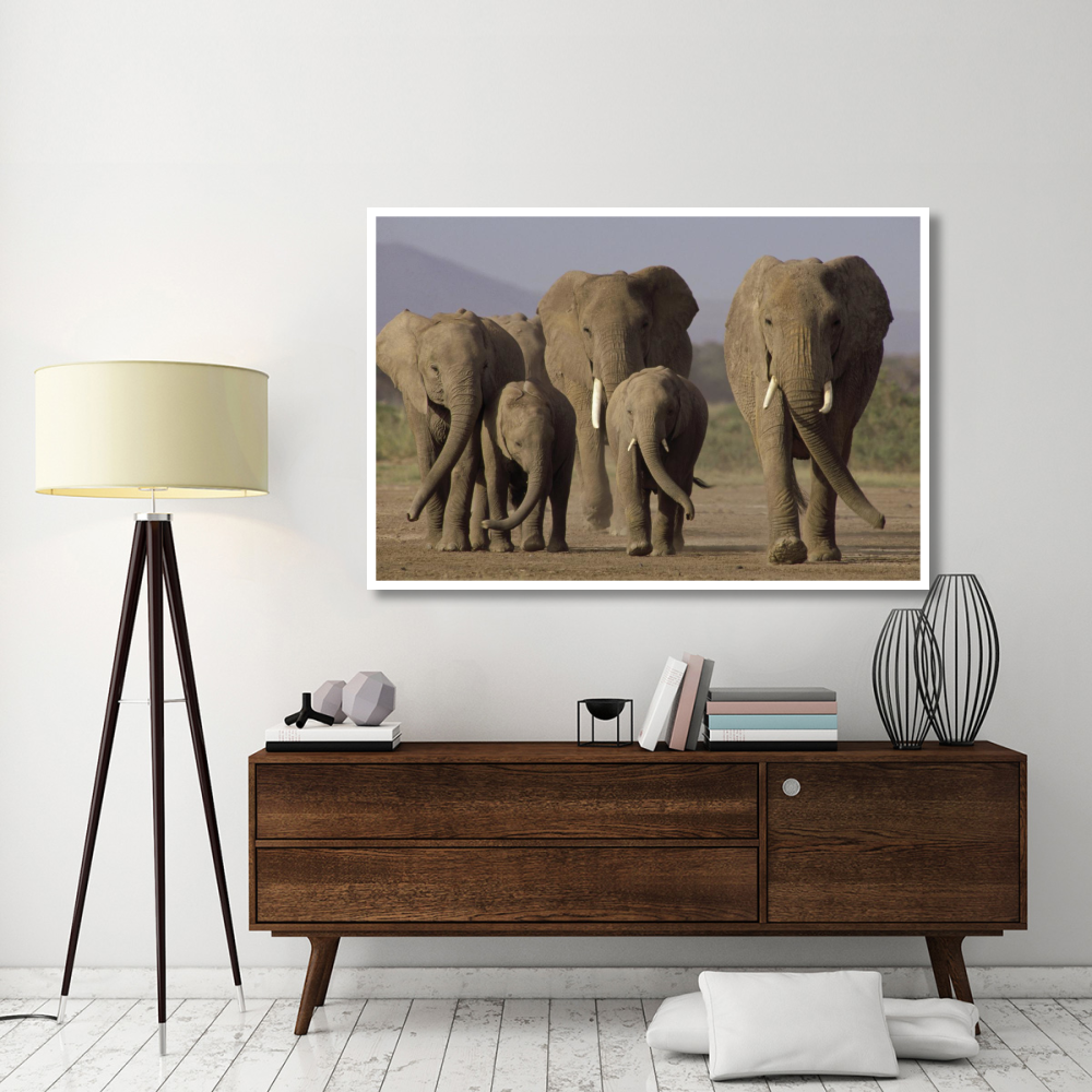 African Elephant herd with calves, Amboseli National Park, Kenya-Paper Art-62&quotx42"