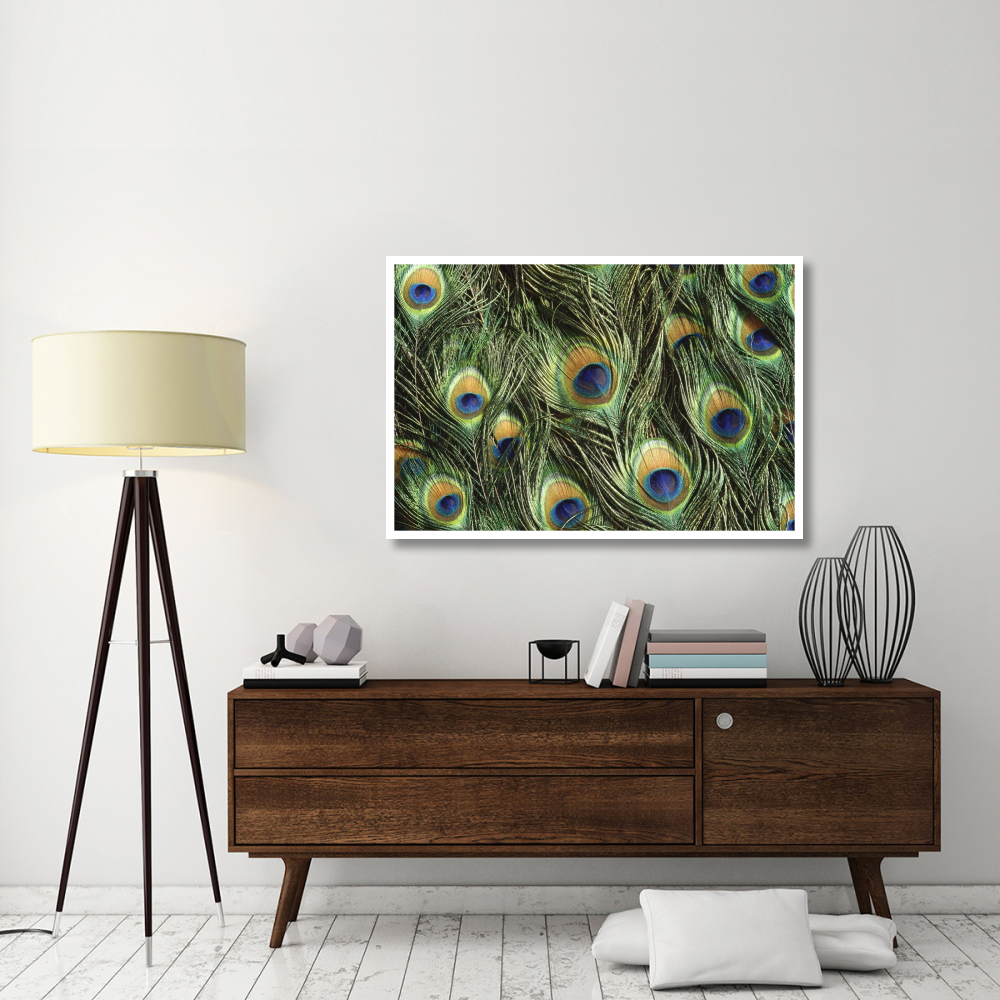Indian Peafowl display feathers, native to India and southeast Asia-Paper Art-50&quotx34"