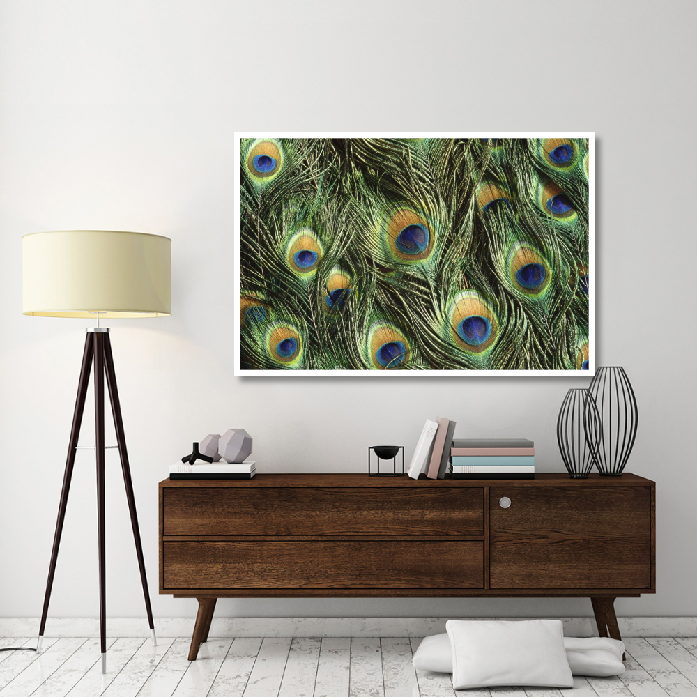 Indian Peafowl display feathers, native to India and southeast Asia-Paper Art-62&quotx42"