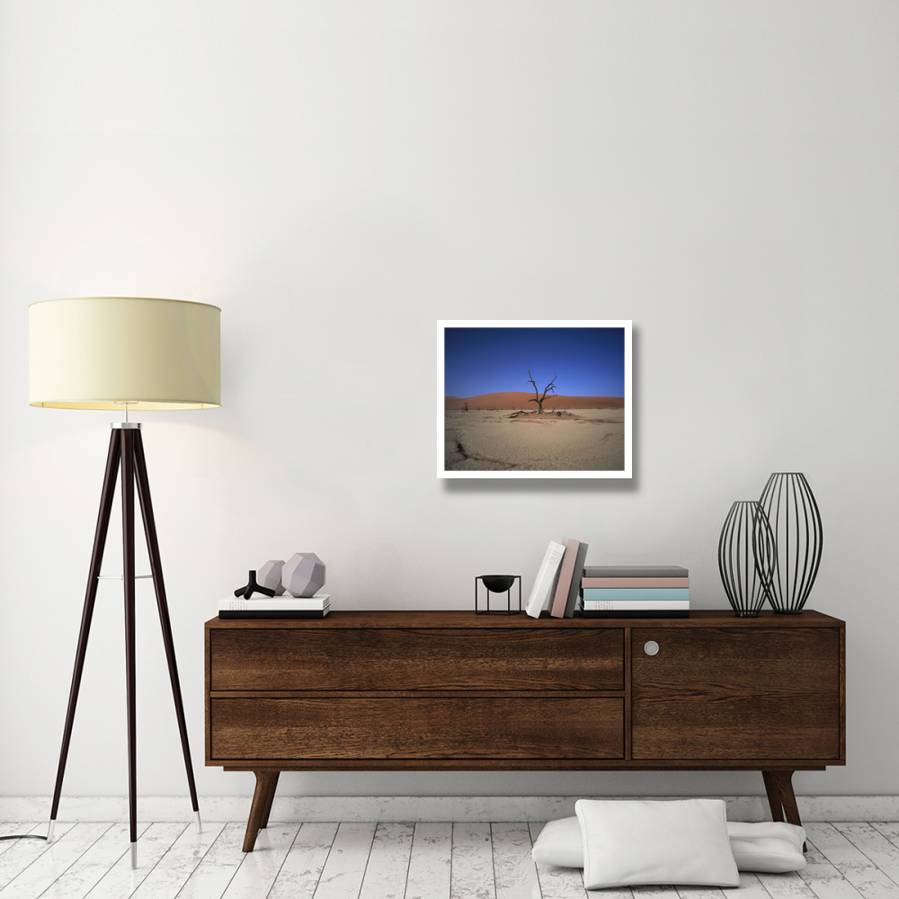 Camelthorn snag on desert pan, Namib-Naukluft National Park, Namibia-Paper Art-26&quotx22"