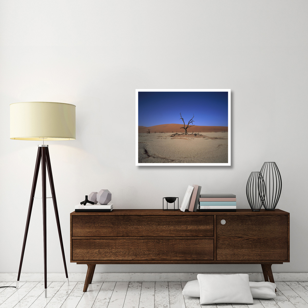 Camelthorn snag on desert pan, Namib-Naukluft National Park, Namibia-Paper Art-37&quotx30"