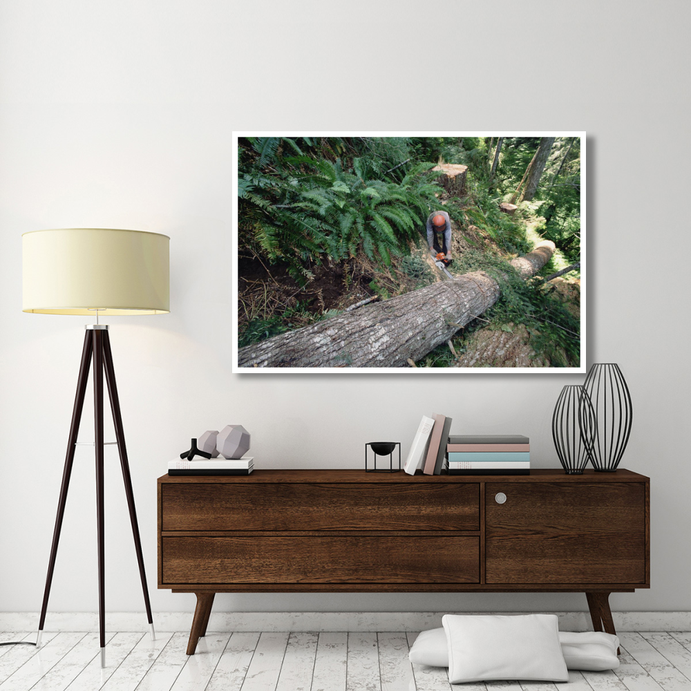 Loggers clear cutting temperate rainforest, Pacific coast, North America-Paper Art-62&quotx42"