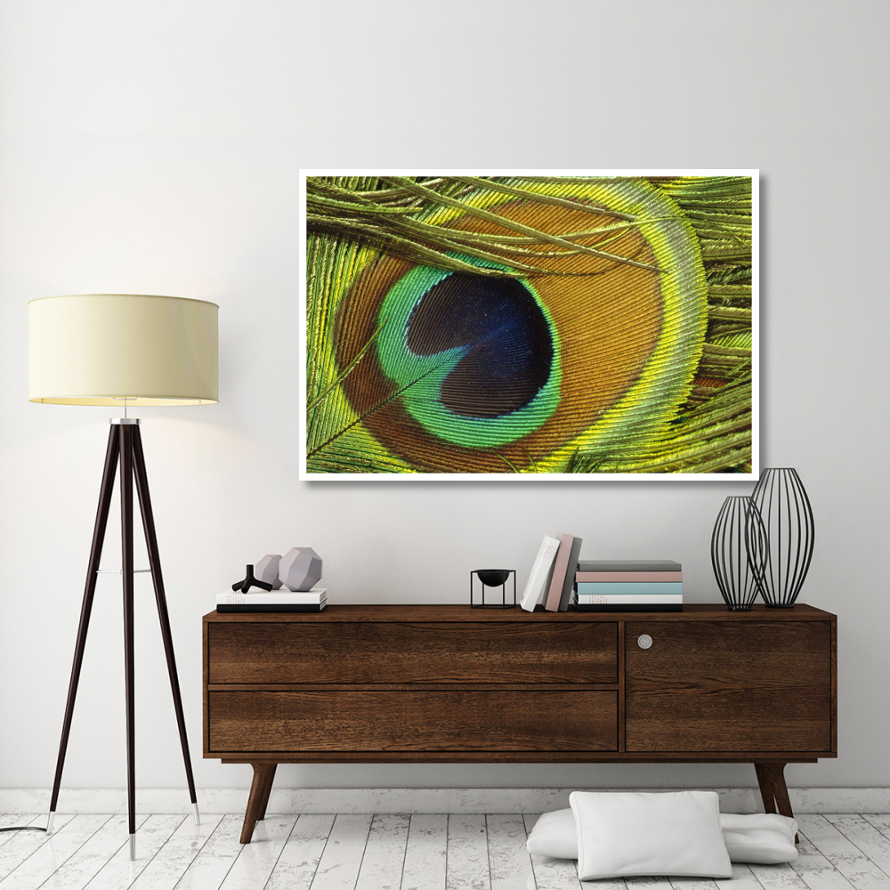 Indian Peafowl male display feathers, native to India and southeast Asia-Paper Art-62&quotx42"