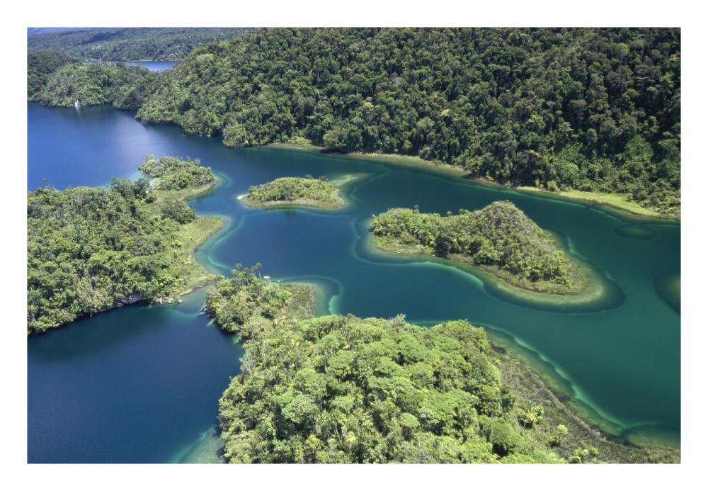 Islands at southeast end of Lake Kutubu in the highlands, Papua New Guinea-Paper Art-26"x18"