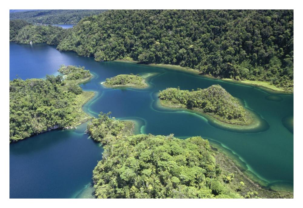 Islands at southeast end of Lake Kutubu in the highlands, Papua New Guinea-Paper Art-32"x22"