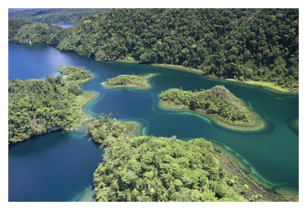 Islands at southeast end of Lake Kutubu in the highlands, Papua New Guinea-Paper Art-38"x26"