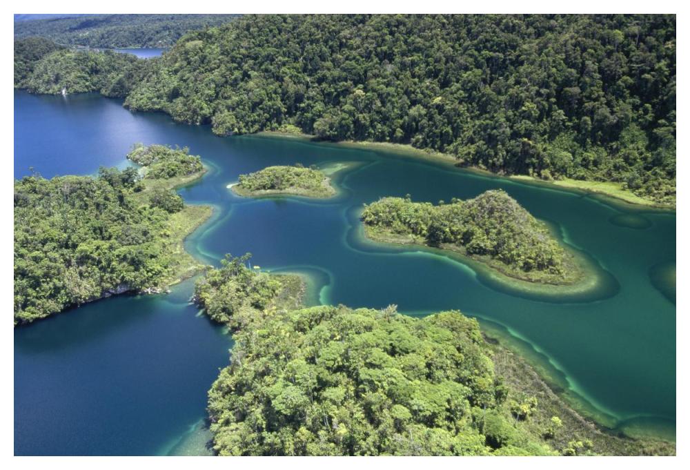 Islands at southeast end of Lake Kutubu in the highlands, Papua New Guinea-Paper Art-50"x34"