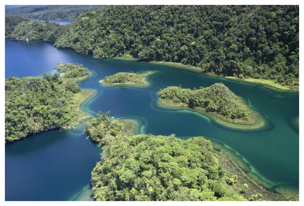 Islands at southeast end of Lake Kutubu in the highlands, Papua New Guinea-Paper Art-62"x42"