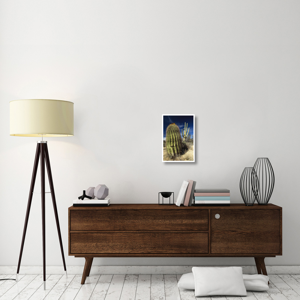Saguaro with Fishhook Barrel Cactus in the foreground, Sonoran Desert, Arizona-Paper Art-14&quotx20"