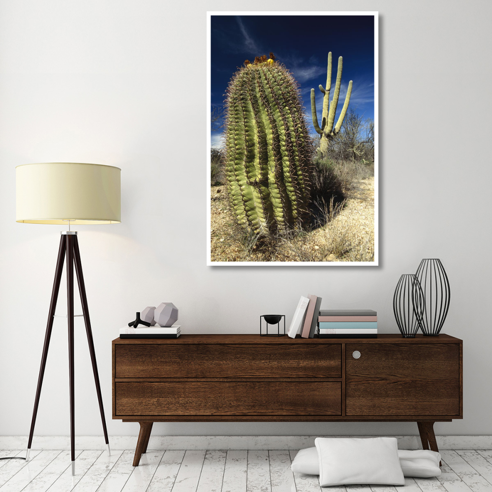 Saguaro with Fishhook Barrel Cactus in the foreground, Sonoran Desert, Arizona-Paper Art-42&quotx62"