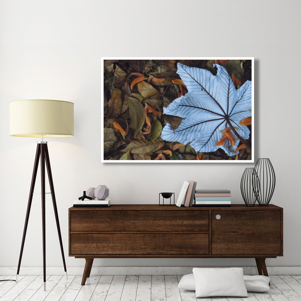 Cecropia leaf atop lobster claw petals on tropical rainforest floor, Mesoamerica-Paper Art-62&quotx42"