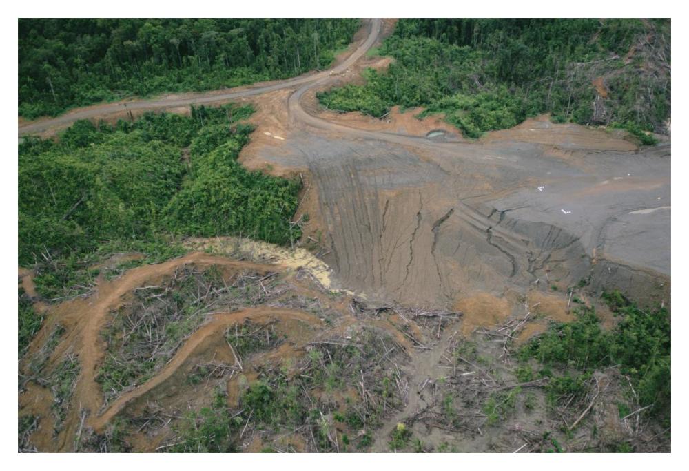 Rainforest logging activities near eastern boundary of the Kikori Delta, Papua New Guinea-Paper Art-20"x14"