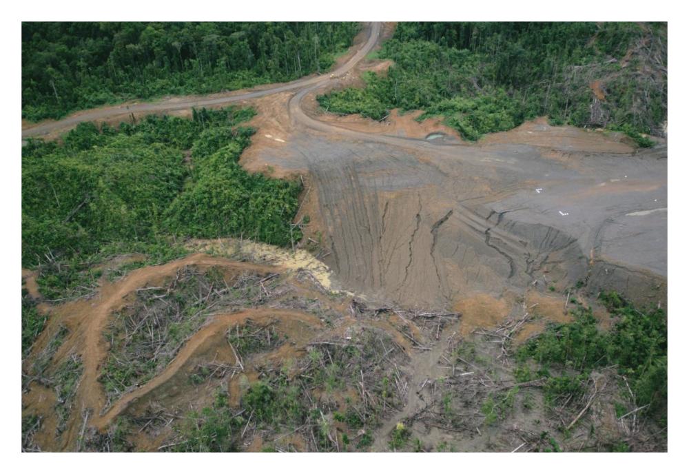 Rainforest logging activities near eastern boundary of the Kikori Delta, Papua New Guinea-Paper Art-32"x22"