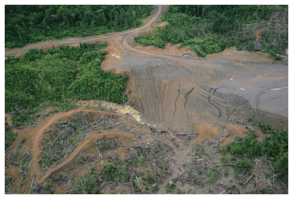 Rainforest logging activities near eastern boundary of the Kikori Delta, Papua New Guinea-Paper Art-62"x42"
