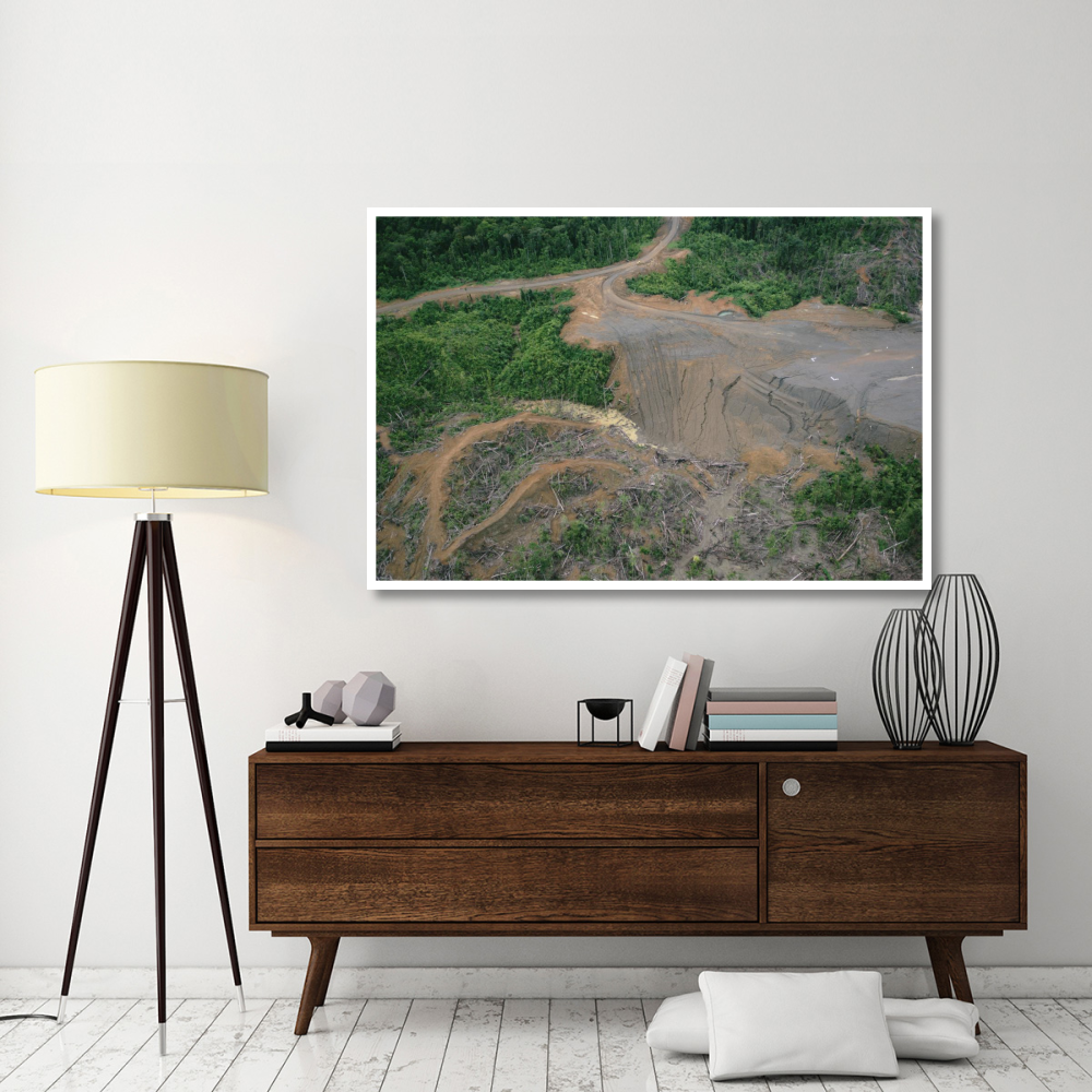 Rainforest logging activities near eastern boundary of the Kikori Delta, Papua New Guinea-Paper Art-62&quotx42"