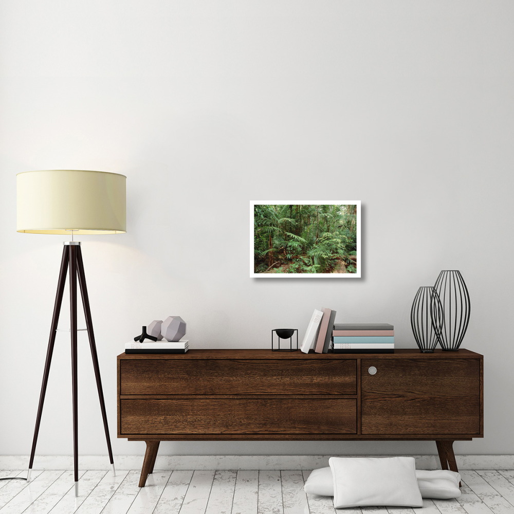Mixed lowland dipterocarp tropical rainforest interior, Taman Negara National Park, Malaysia-Paper Art-26&quotx18"