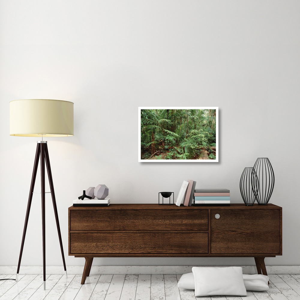 Mixed lowland dipterocarp tropical rainforest interior, Taman Negara National Park, Malaysia-Paper Art-32&quotx22"
