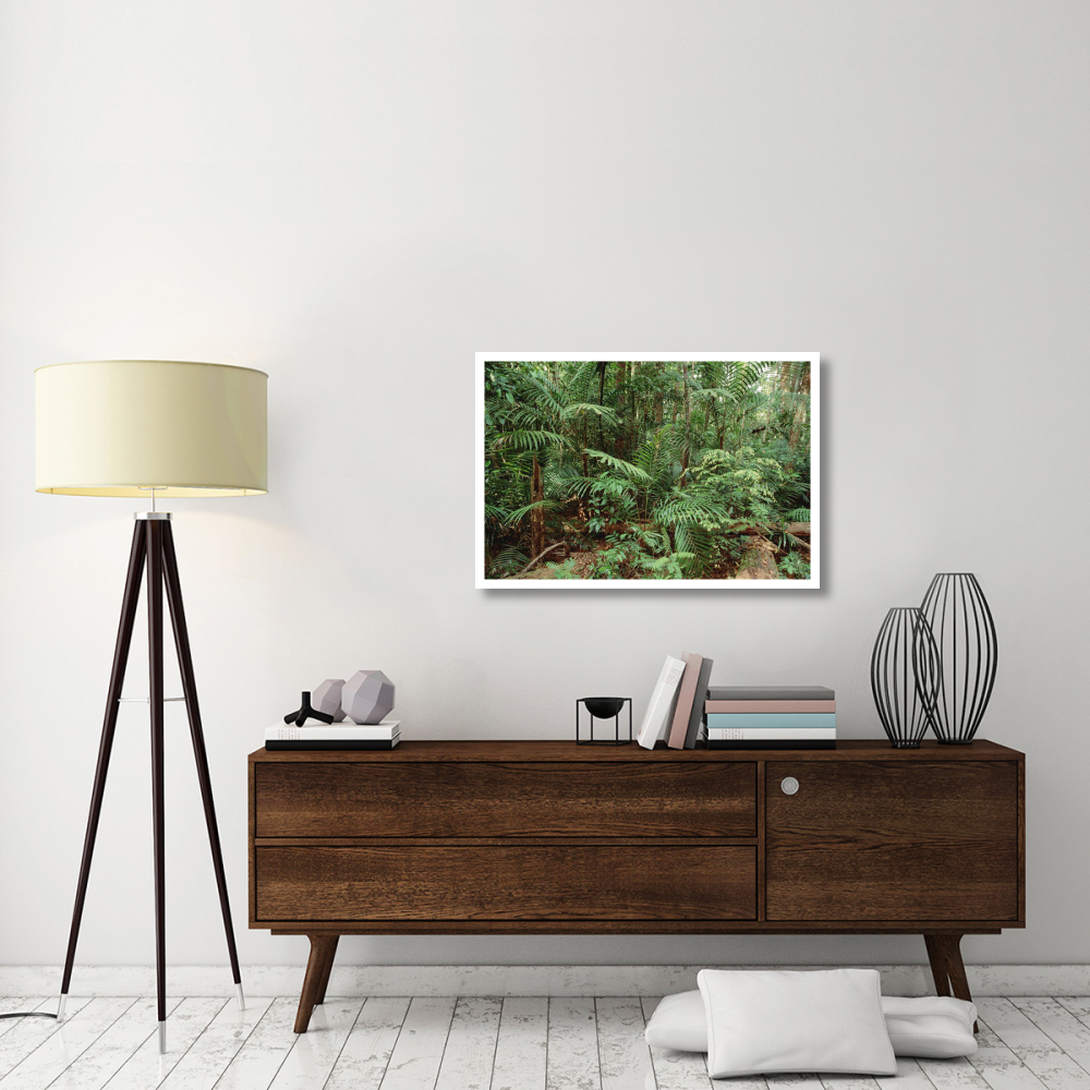 Mixed lowland dipterocarp tropical rainforest interior, Taman Negara National Park, Malaysia-Paper Art-38&quotx26"