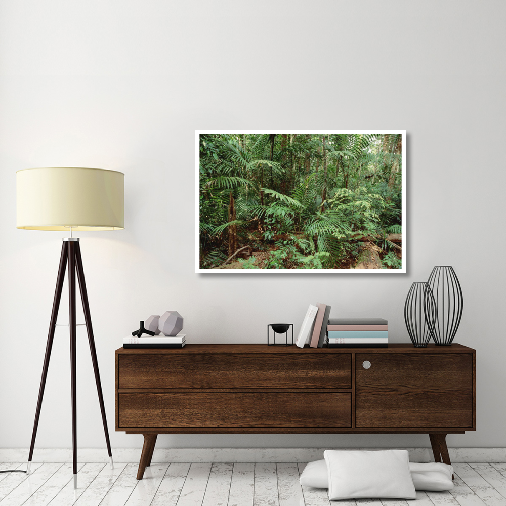 Mixed lowland dipterocarp tropical rainforest interior, Taman Negara National Park, Malaysia-Paper Art-50&quotx34"
