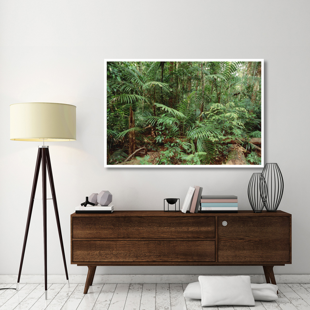 Mixed lowland dipterocarp tropical rainforest interior, Taman Negara National Park, Malaysia-Paper Art-62&quotx42"