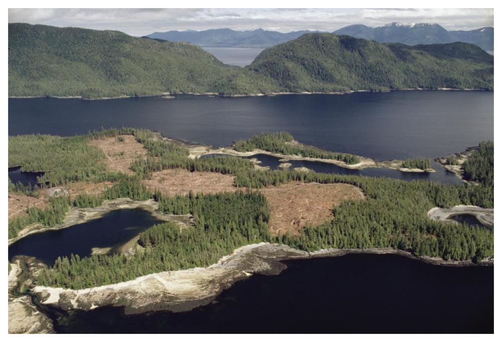 Aerial view of clearcut temperate rainforest on Prince of Wales Island, Tongass National Forest, Alaska-Paper Art-62"x42"