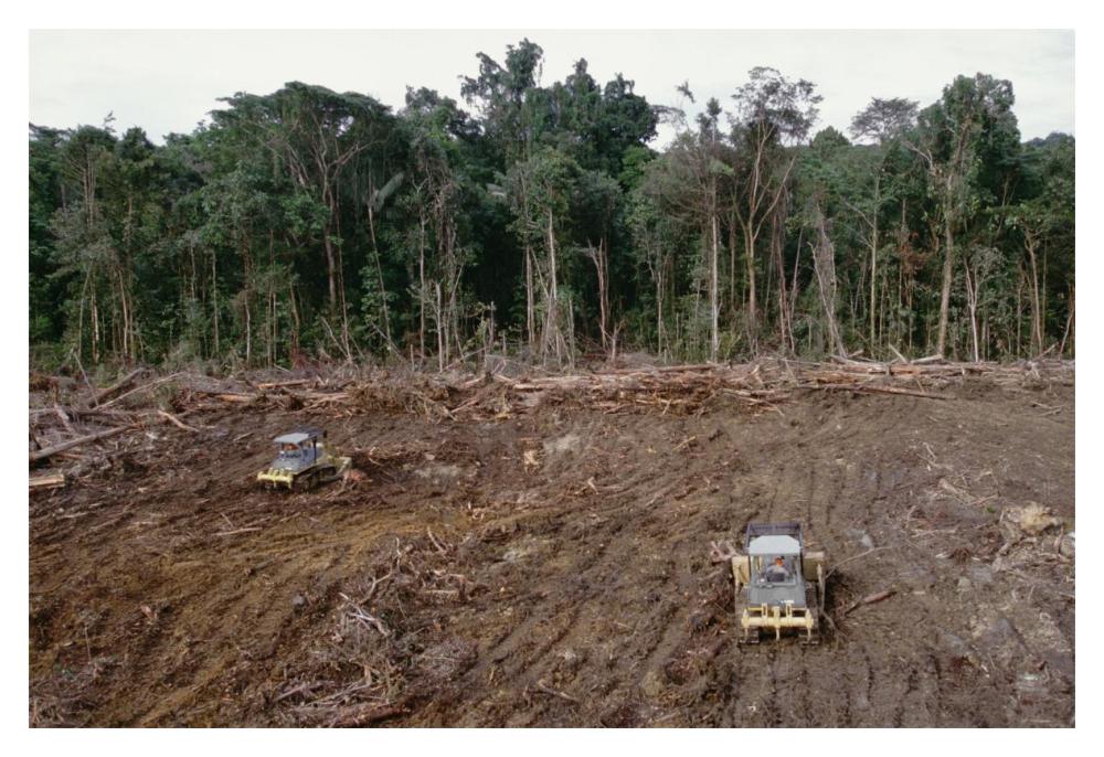 Clearing of tropical rainforest south of Lake Kutubu for Gobe oil camp, southern highlands, Papua New Guinea-Paper Art-20"x14"
