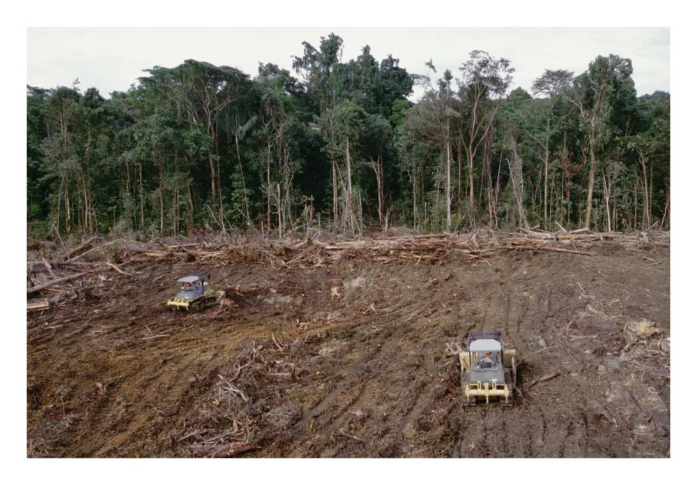 Clearing of tropical rainforest south of Lake Kutubu for Gobe oil camp, southern highlands, Papua New Guinea-Paper Art-26"x18"