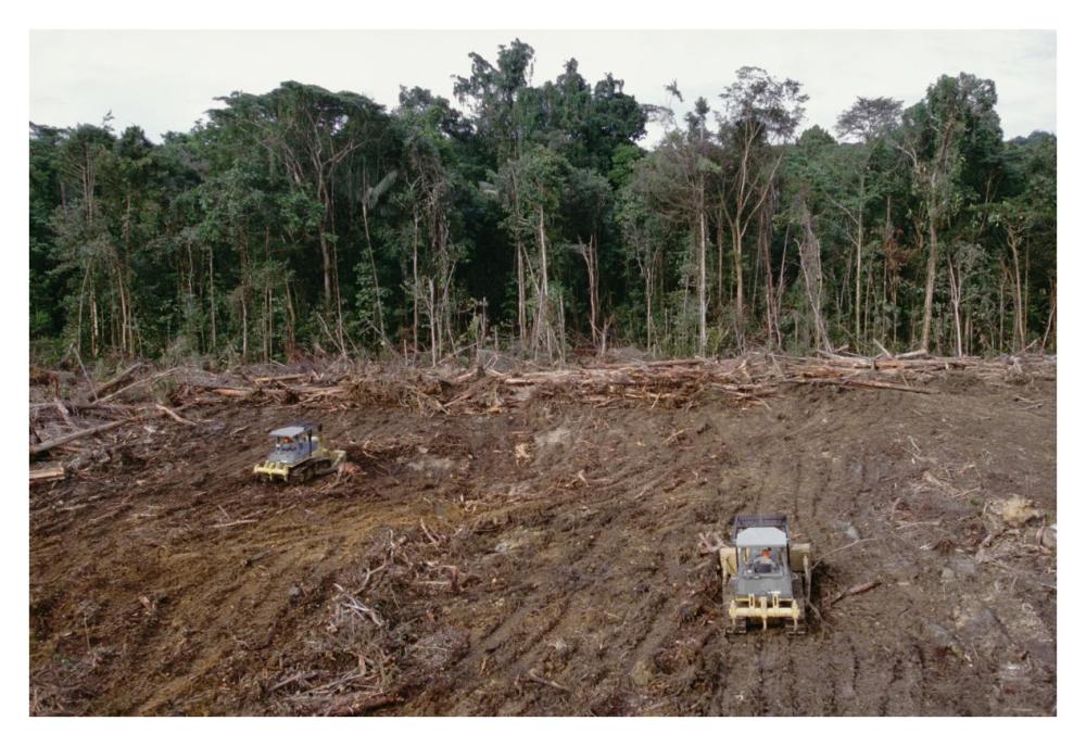 Clearing of tropical rainforest south of Lake Kutubu for Gobe oil camp, southern highlands, Papua New Guinea-Paper Art-38"x26"