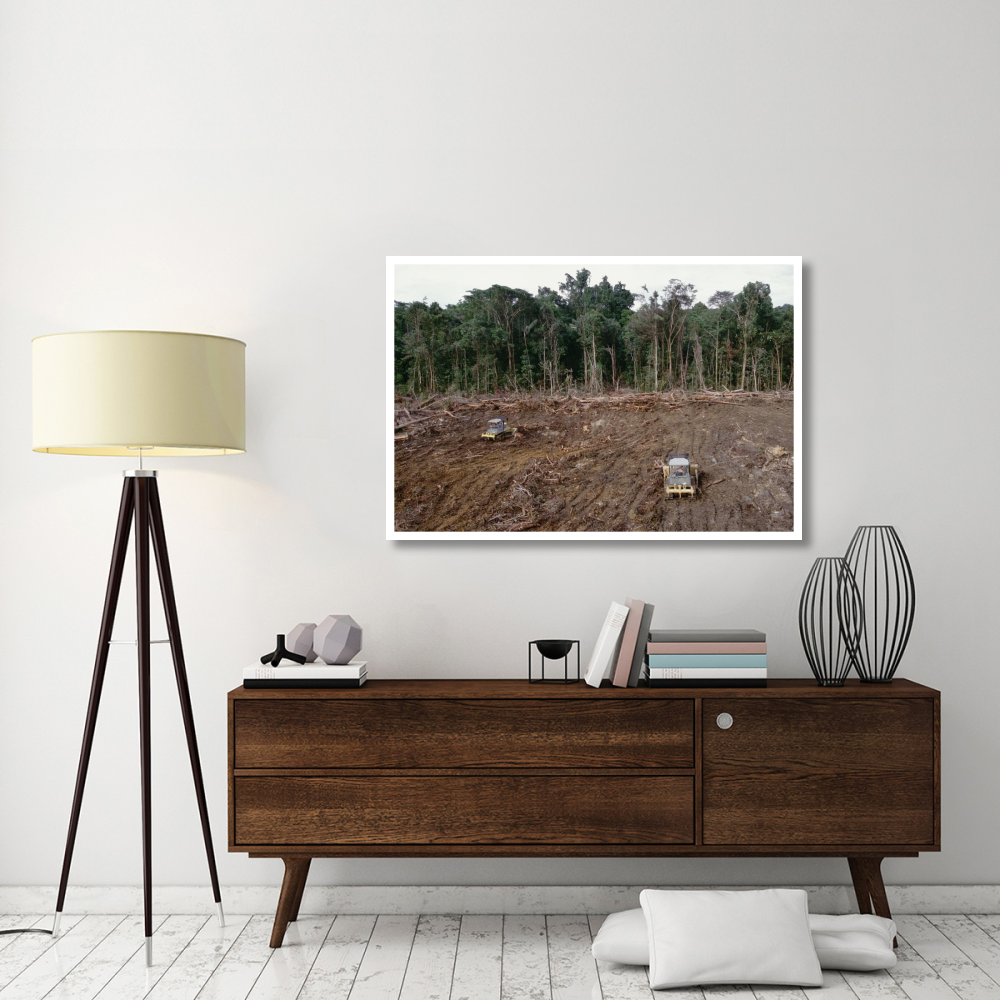 Clearing of tropical rainforest south of Lake Kutubu for Gobe oil camp, southern highlands, Papua New Guinea-Paper Art-50&quotx34"