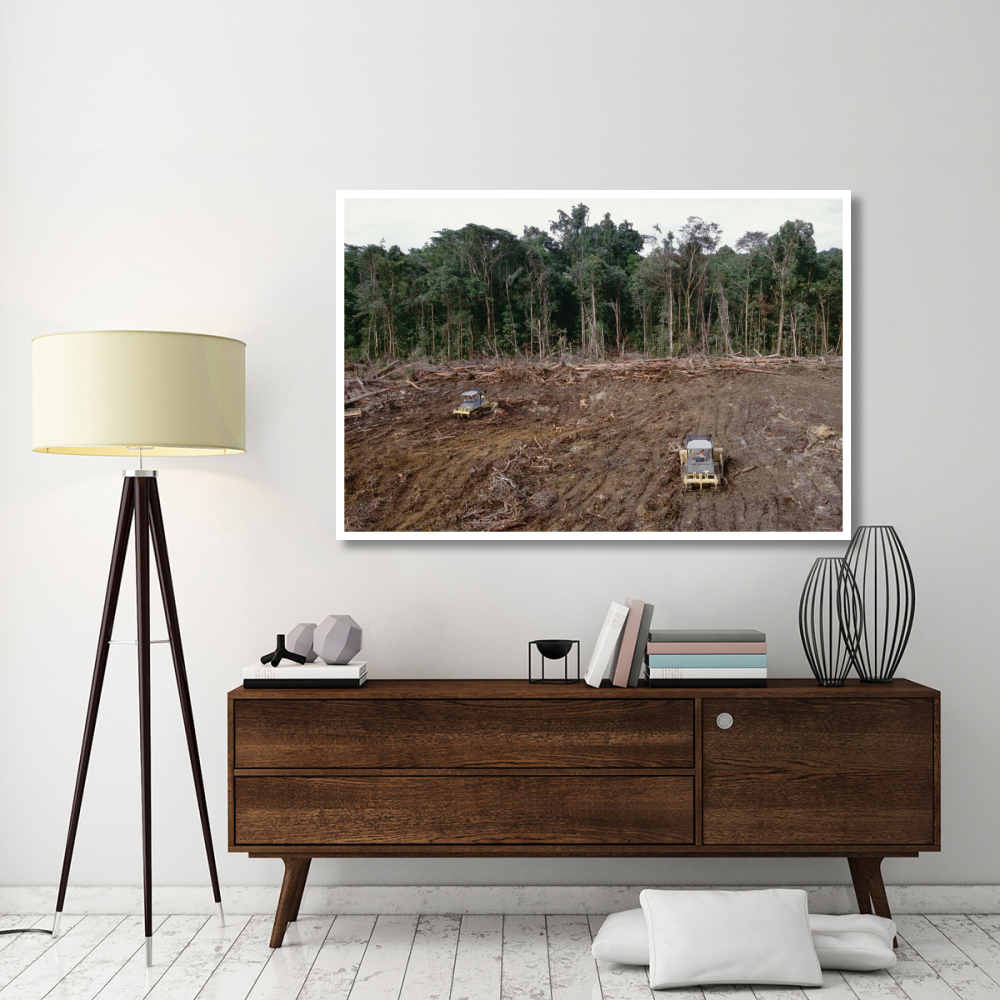 Clearing of tropical rainforest south of Lake Kutubu for Gobe oil camp, southern highlands, Papua New Guinea-Paper Art-62&quotx42"
