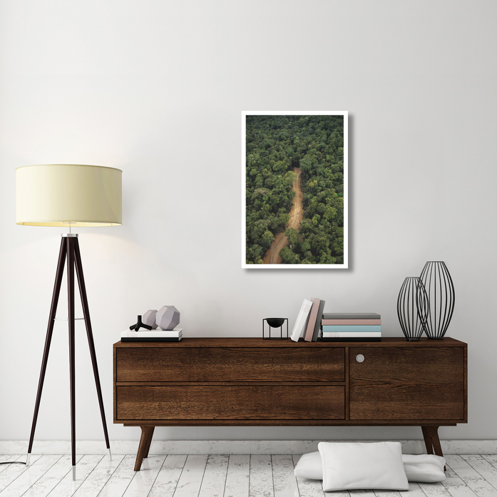 New logging road in virgin lowland tropical rainforest, east of Aird River Delta, Kikori Basin, Papua New Guinea-Paper Art-26&quotx38"