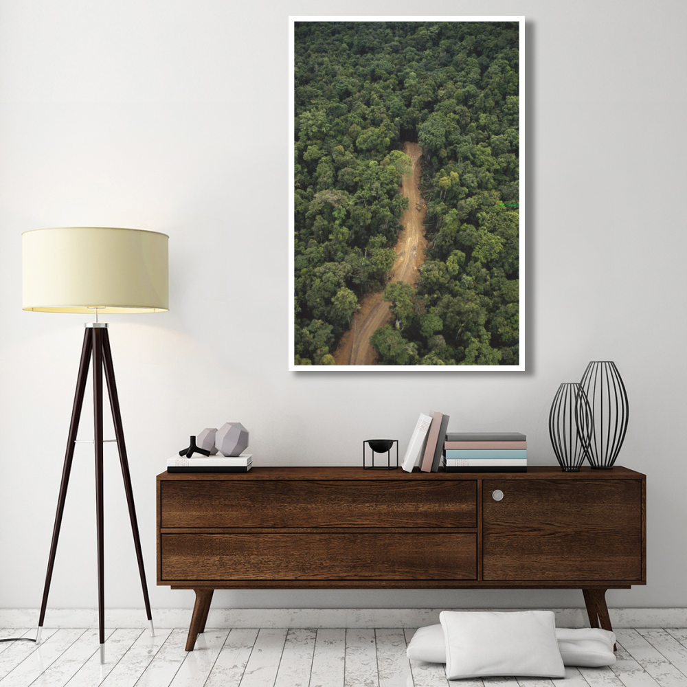New logging road in virgin lowland tropical rainforest, east of Aird River Delta, Kikori Basin, Papua New Guinea-Paper Art-42&quotx62"