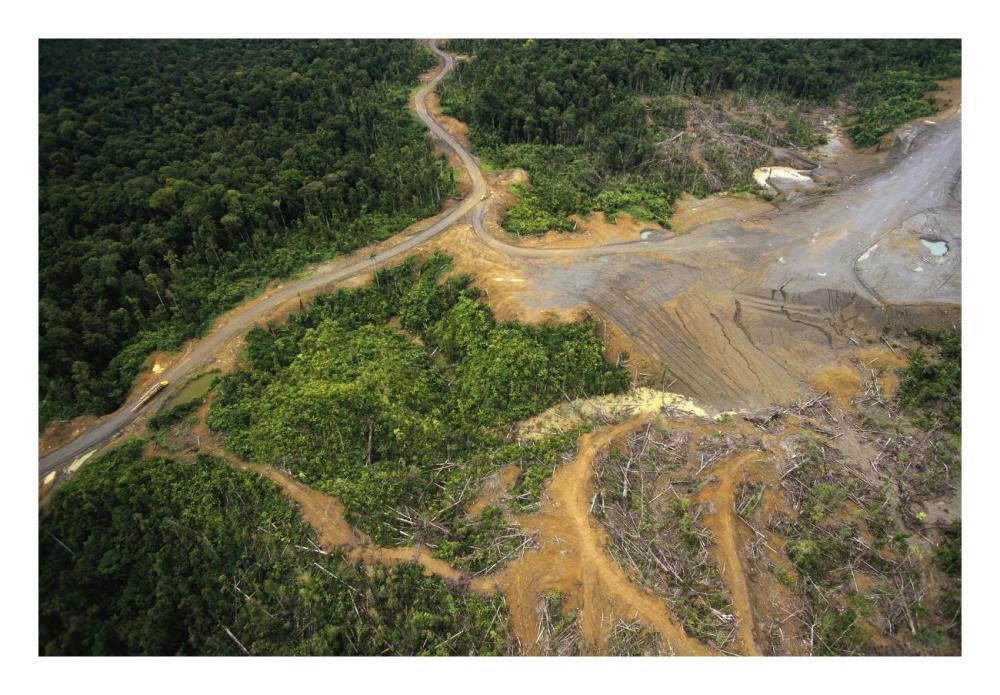 Logging erosion in lowland tropical rainforest across the broad flood plain of Aird River, Kikori Basin, Papua New Guinea-Paper Art-26"x18"