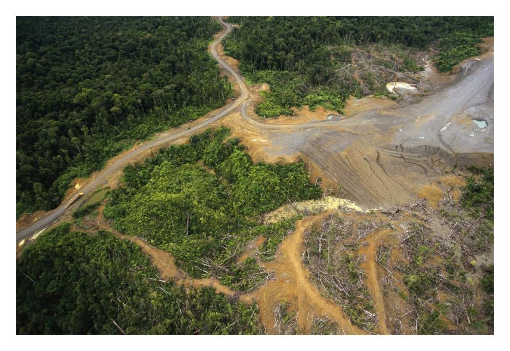 Logging erosion in lowland tropical rainforest across the broad flood plain of Aird River, Kikori Basin, Papua New Guinea-Paper Art-32"x22"