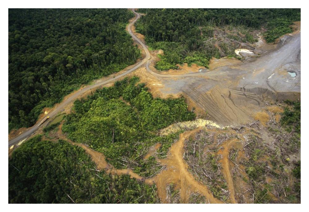 Logging erosion in lowland tropical rainforest across the broad flood plain of Aird River, Kikori Basin, Papua New Guinea-Paper Art-38"x26"
