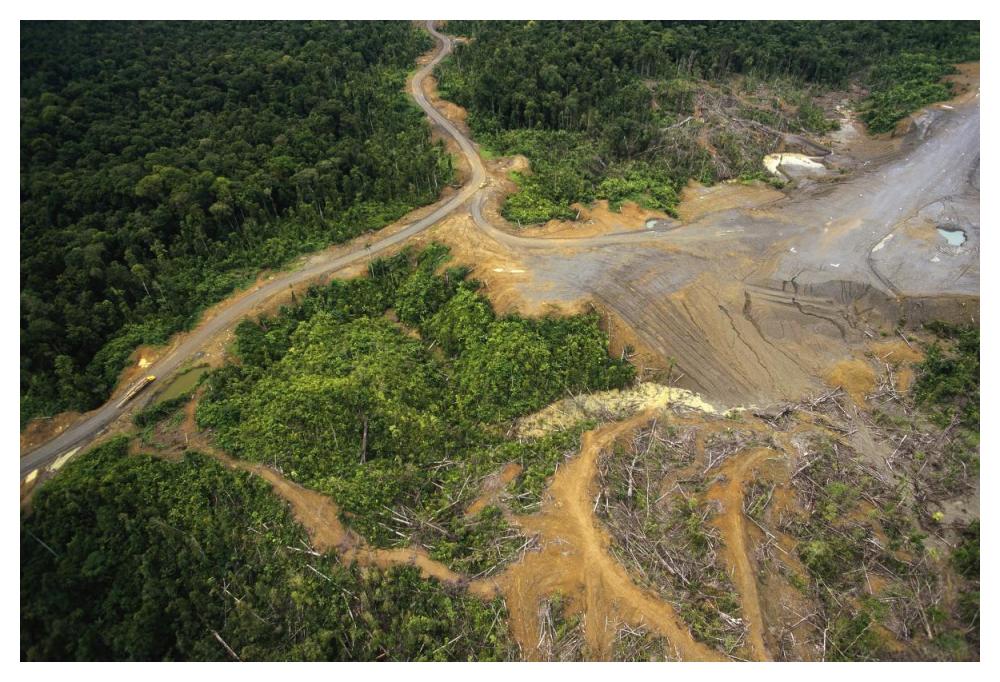 Logging erosion in lowland tropical rainforest across the broad flood plain of Aird River, Kikori Basin, Papua New Guinea-Paper Art-50"x34"