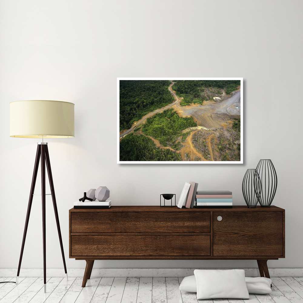 Logging erosion in lowland tropical rainforest across the broad flood plain of Aird River, Kikori Basin, Papua New Guinea-Paper Art-50&quotx34"